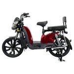 Manufacturers direct sales of cargo electric bicycle Bailing king with front pocket split folding rack electric vehicles